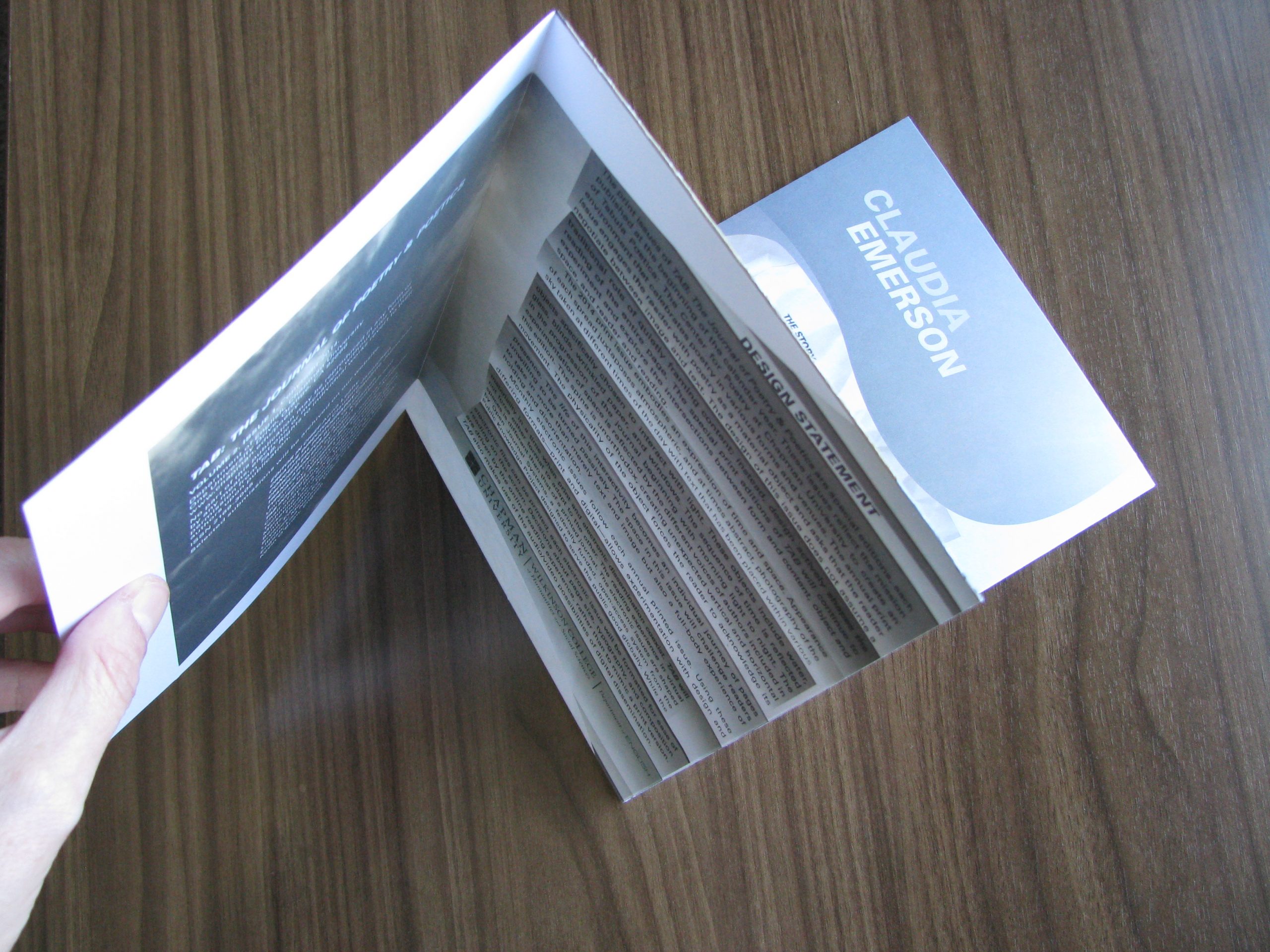 How We Read Poems Tab Journal