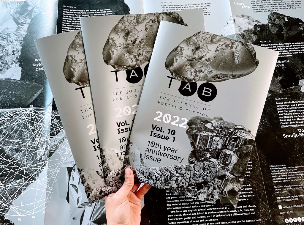 Hand holding three copies of the printed issue with its open poster as the backdrop. The lighting shows the reflection of the metallic silver ink used for this print issue.